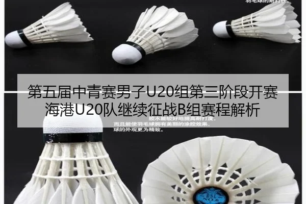 第五届中青赛男子U20组第三阶段开赛 海港U20队继续征战B组赛程解析